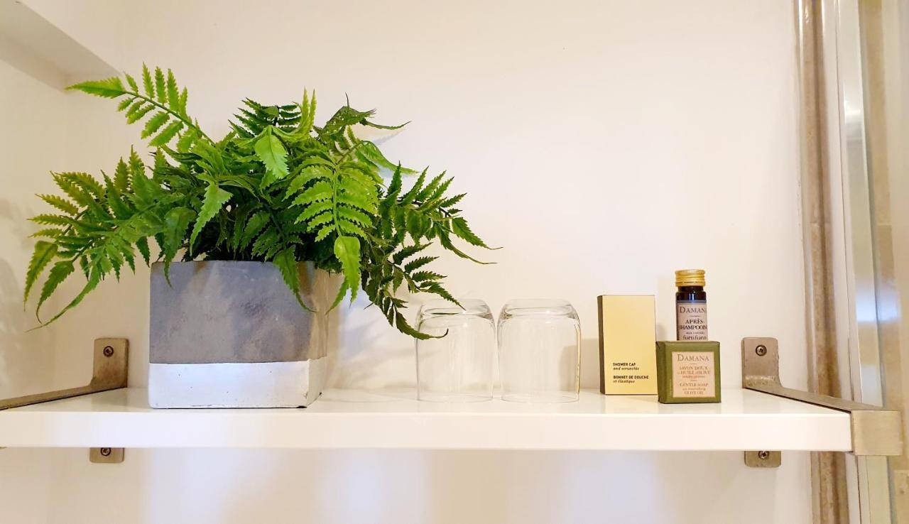 ברייטון A Room With A View מראה חיצוני תמונה A fern in a bathroom